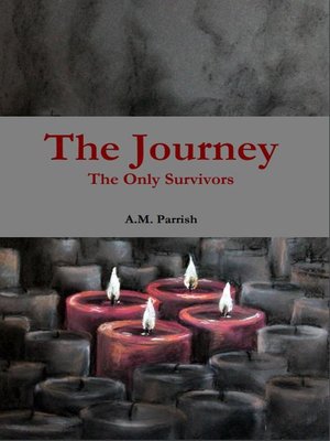 cover image of The Journey the Only Survivors